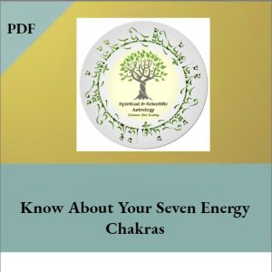 SSAP022: Know Your Energy Chakras